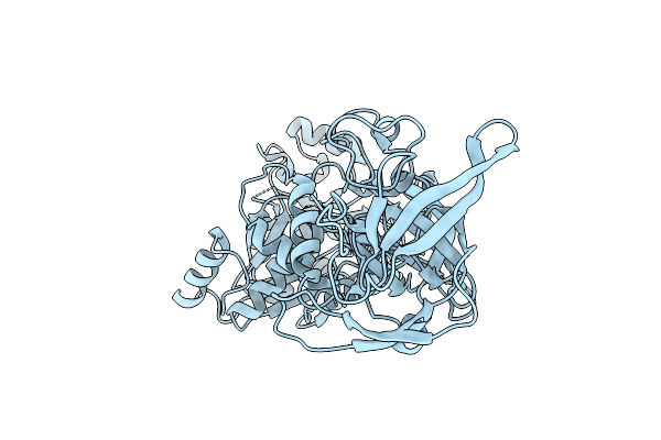 5ZDO image