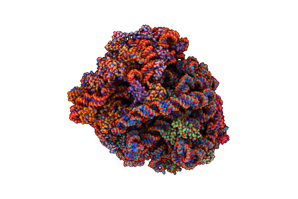 5ZEB image