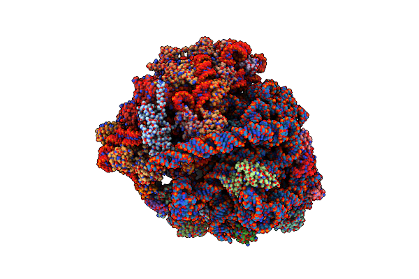 5ZEP image