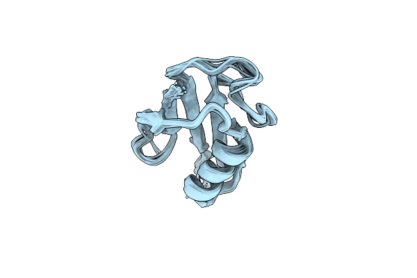 5ZEW image