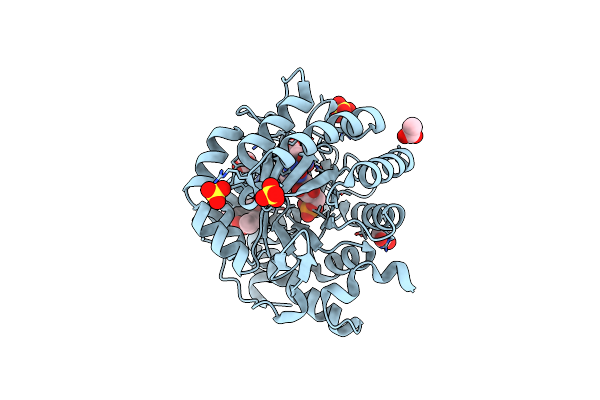 5ZFA image