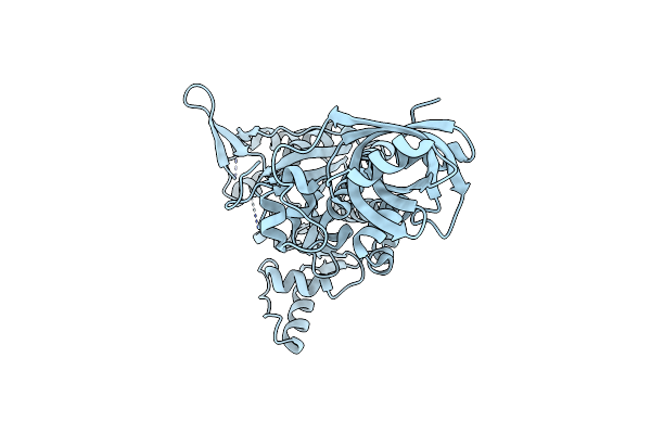 5ZG8 image