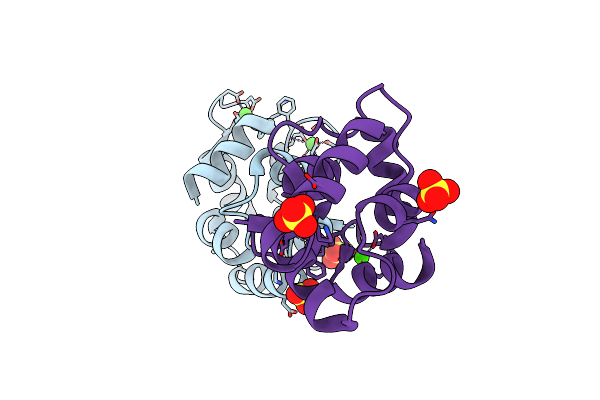 5ZGM image