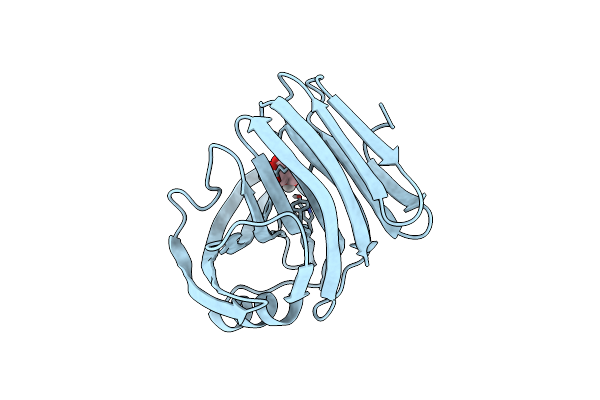 5ZH0 image