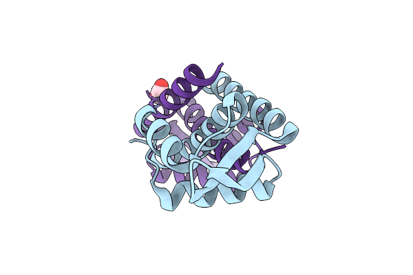 5ZHC image
