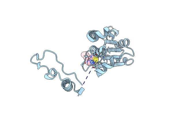 5ZHL image