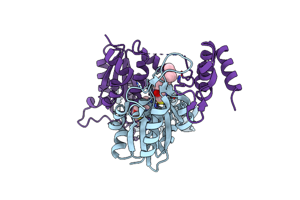 5ZHM image