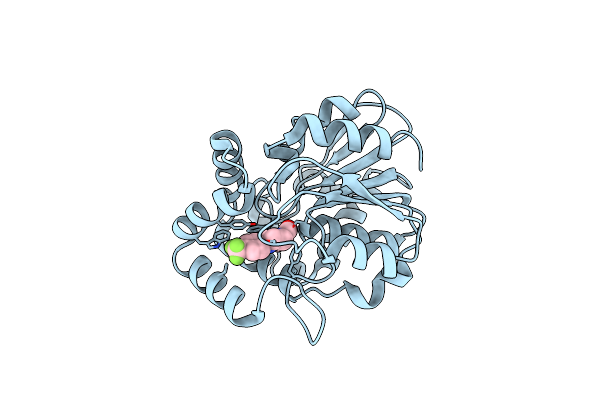 5ZHT image