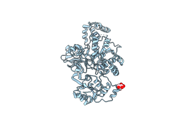5ZIB image