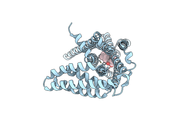 5ZKC image