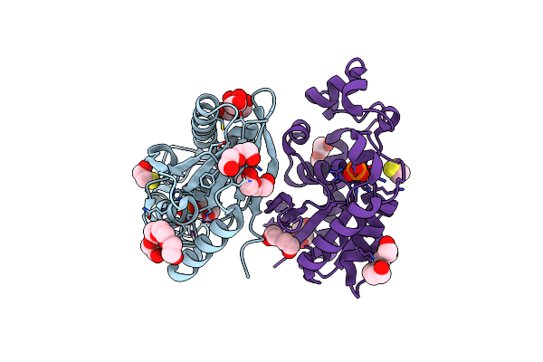 5ZKK image