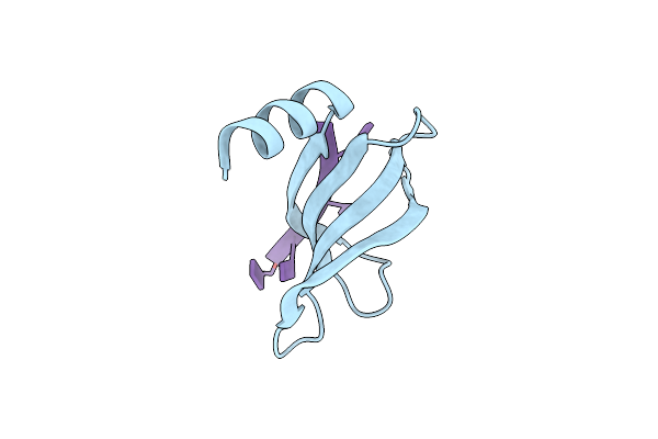 5ZKL image