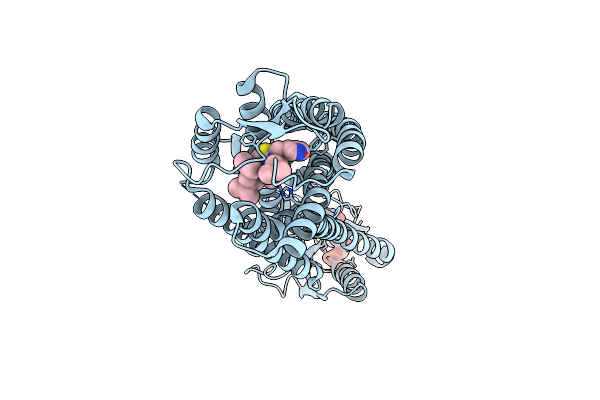 5ZKP image