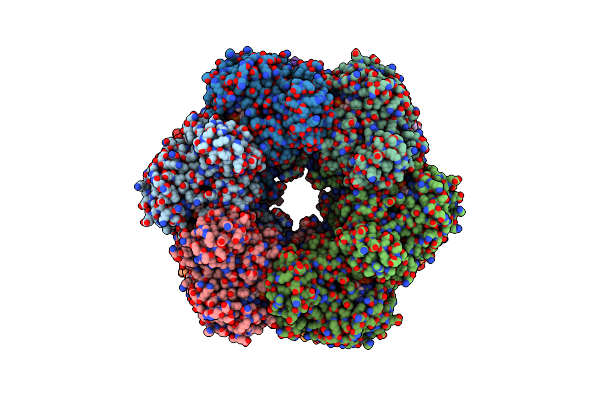5ZLP image