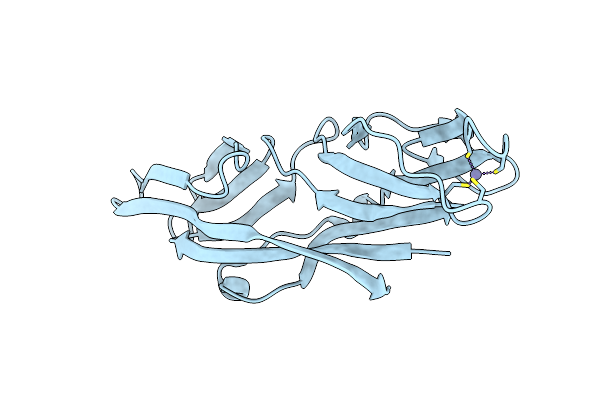 5ZLQ image