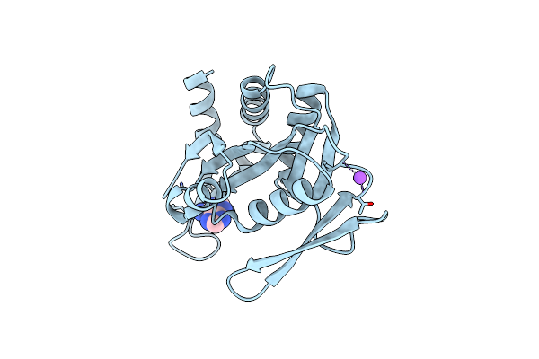 5ZMI image