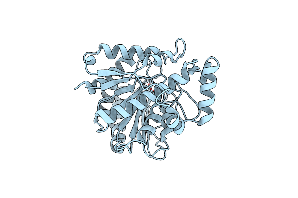 5ZMP image