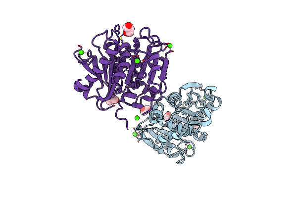 5ZNO image