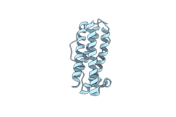 5ZO6 image