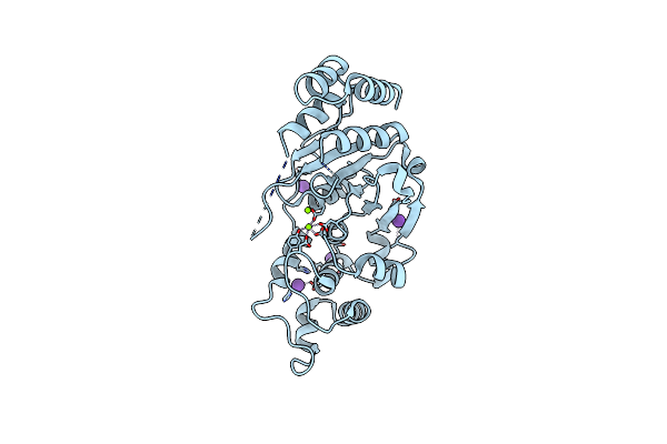 5ZOD image