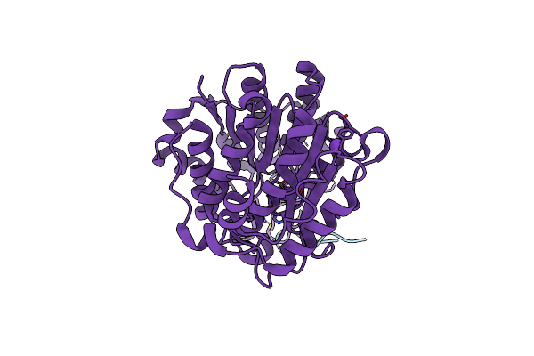5ZOP image