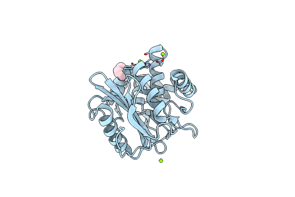 5ZQA image