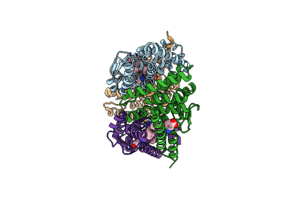 5ZQU image