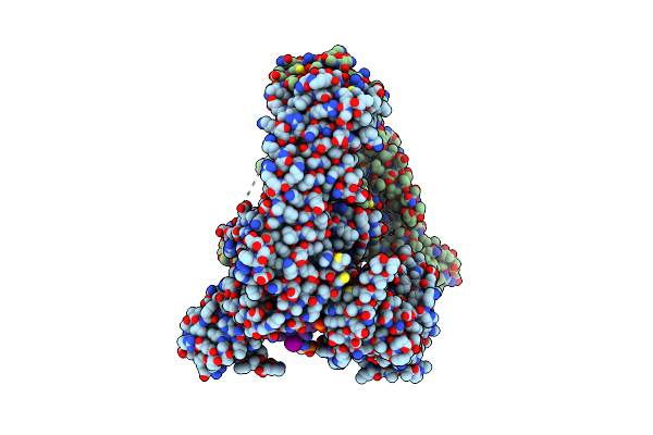 5ZRF image