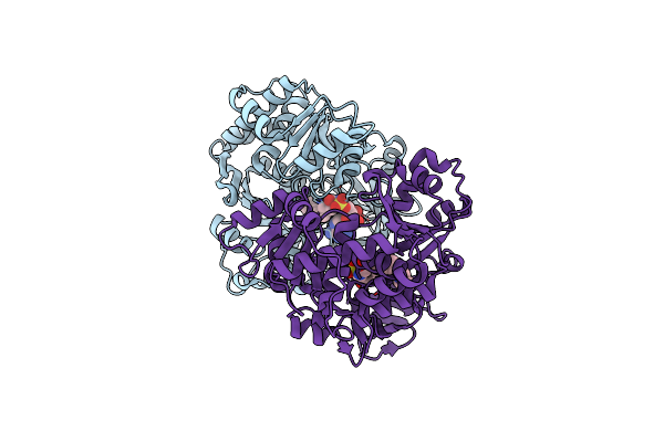 5ZRN image