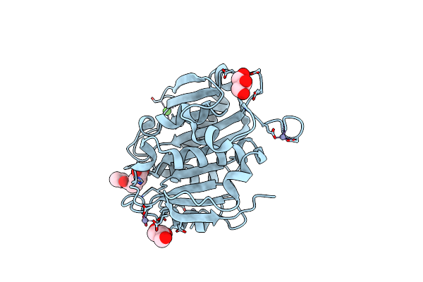 5ZRS image