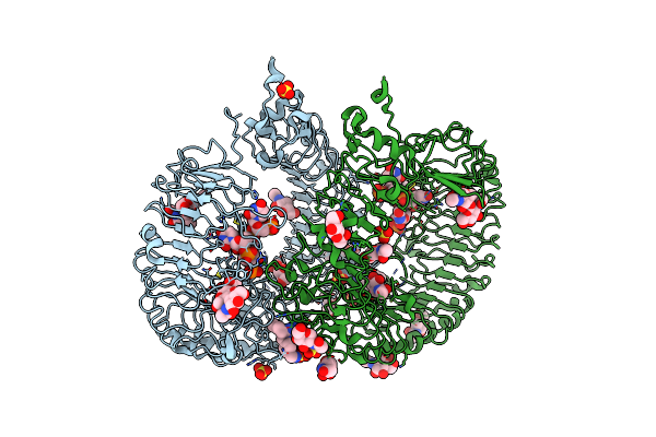 5ZSA image