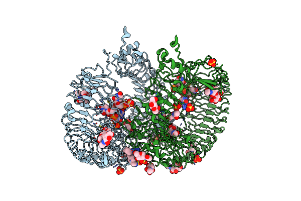 5ZSD image