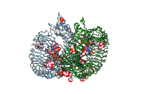 5ZSL image