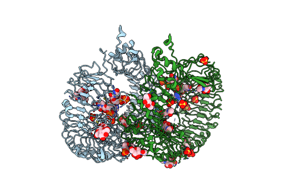 5ZSN image