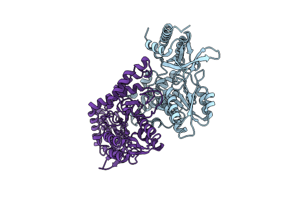 5ZSP image