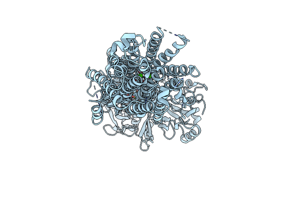 5ZTF image