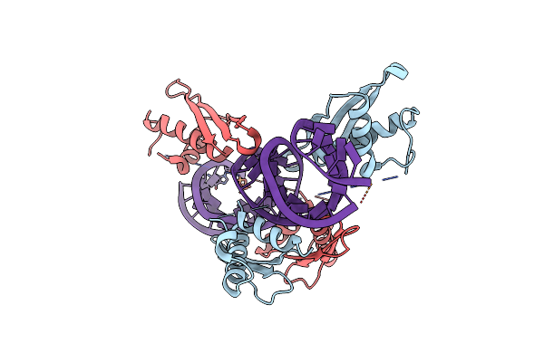 5ZTM image