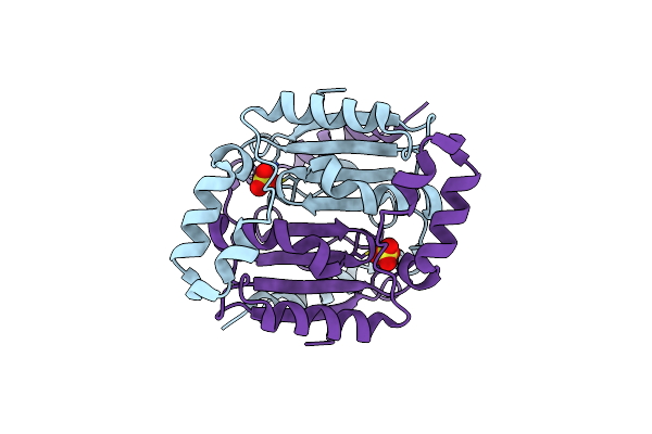 5ZTP image