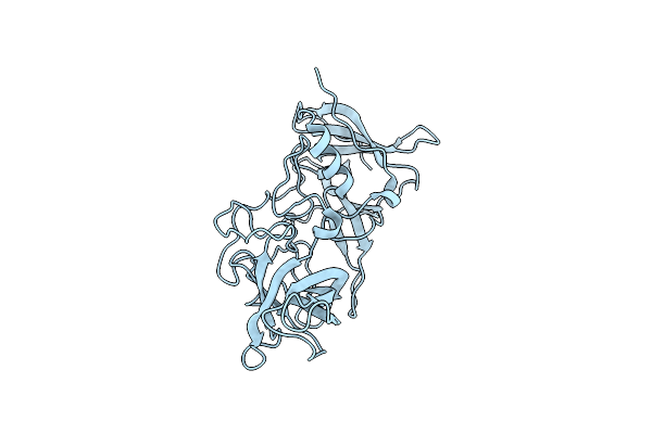 5ZUQ image