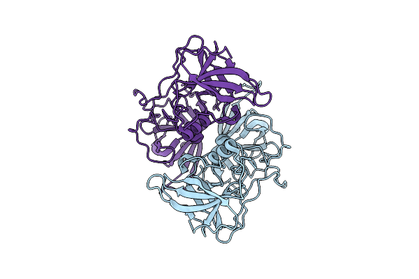 5ZUS image