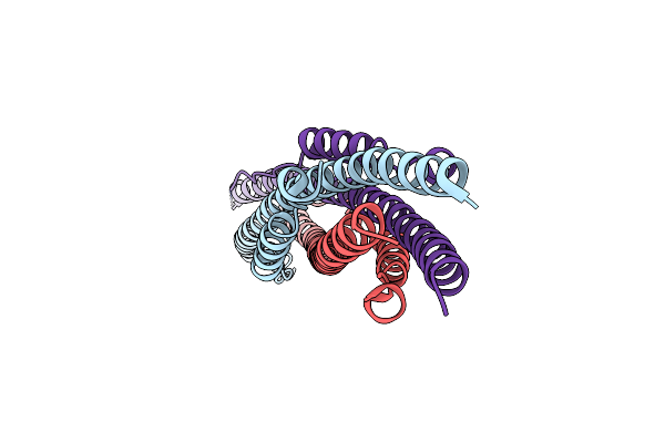 5ZUV image