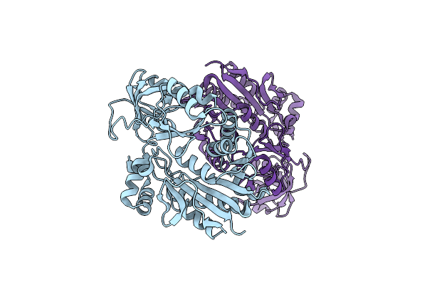 5ZVD image