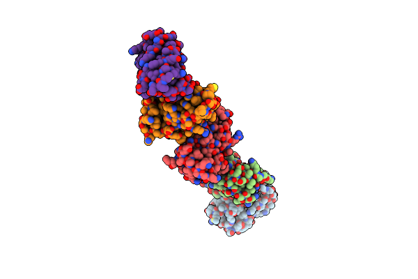 5ZVL image