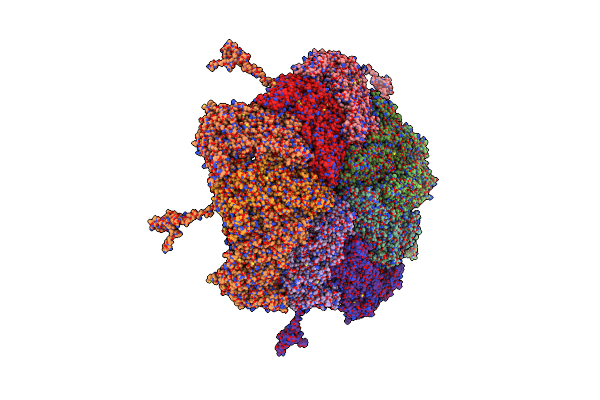 5ZVS image
