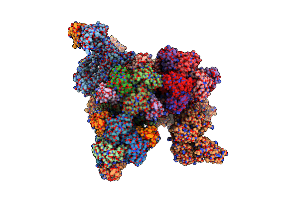 5ZVT image