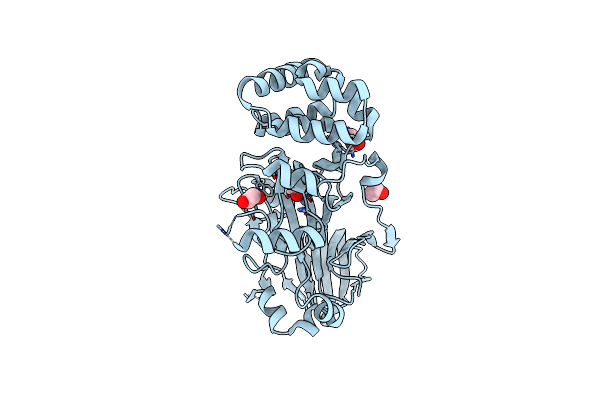 5ZVU image