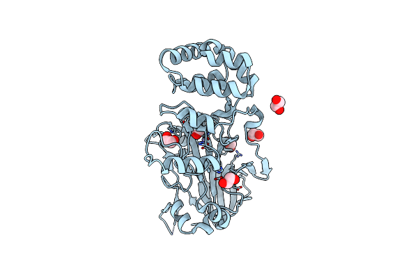 5ZVX image