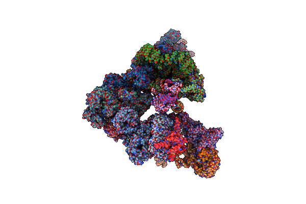 5ZWM image