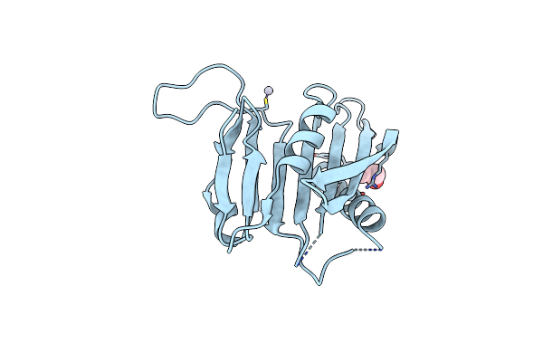 5ZXA image