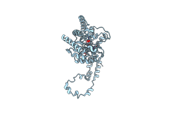 5ZYC image